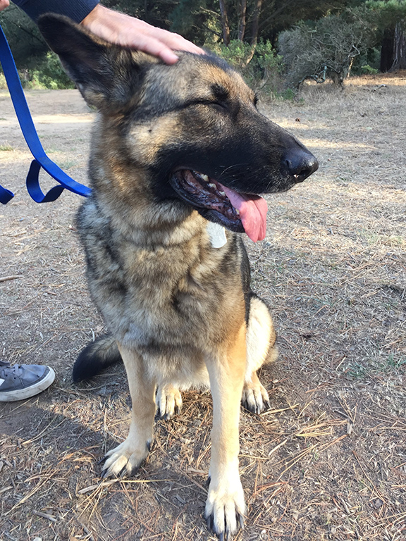 Kaia